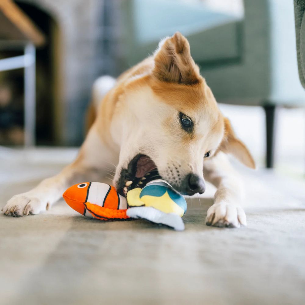 Hundespielzeug Meeresfreunde Riff