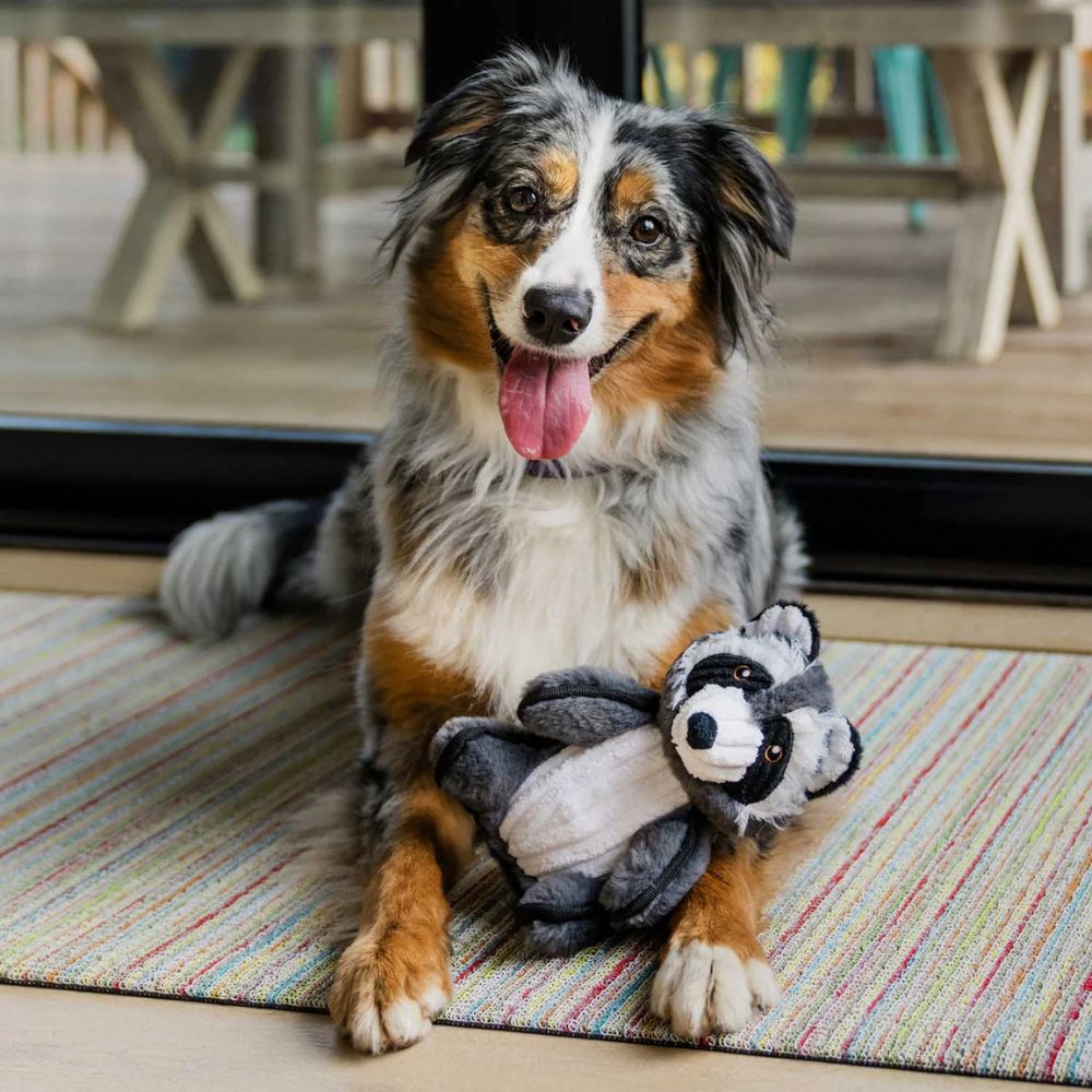 Hundespielzeug Waschbär Werner