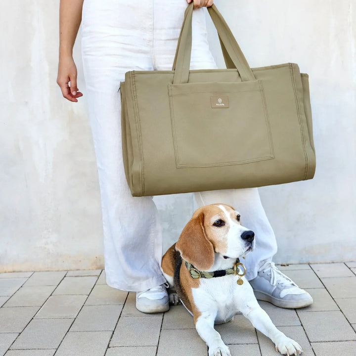 Hundemattentasche - Nobo in Salbei