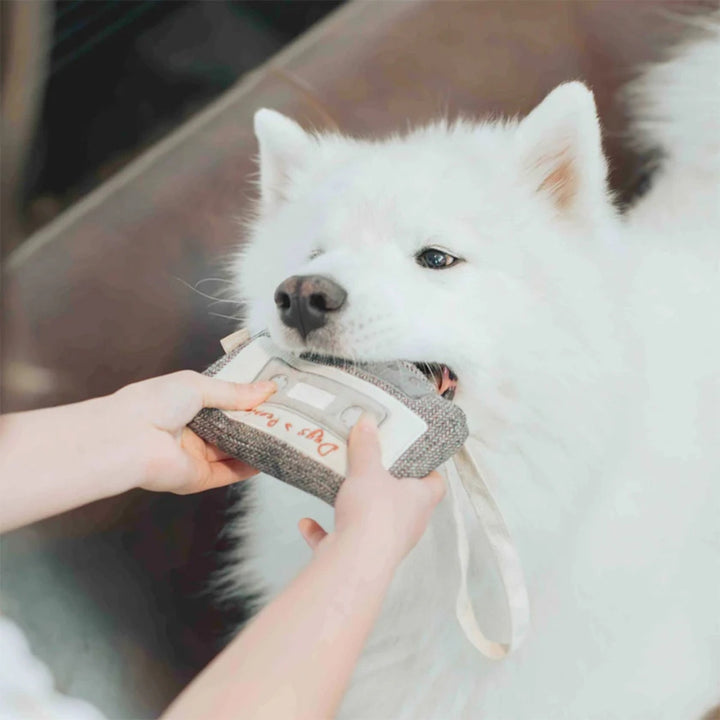Hundespielzeug Schnüffel-Kassette