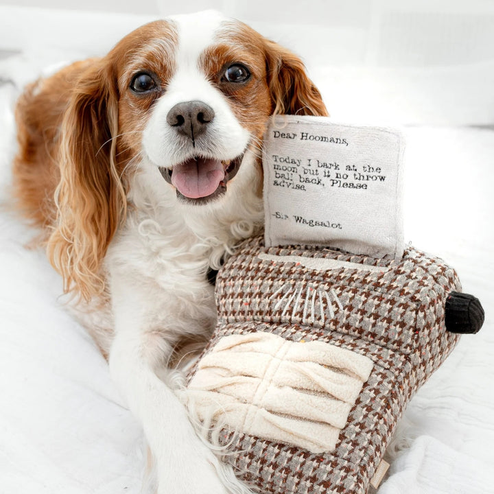 Hundespielzeug Schreibmaschine