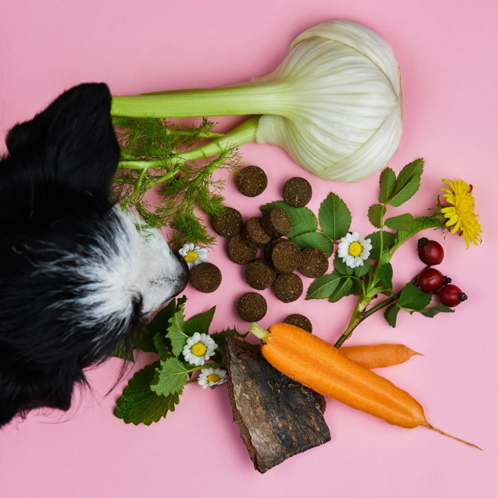 Gras- & Kotfresser Drops 350g