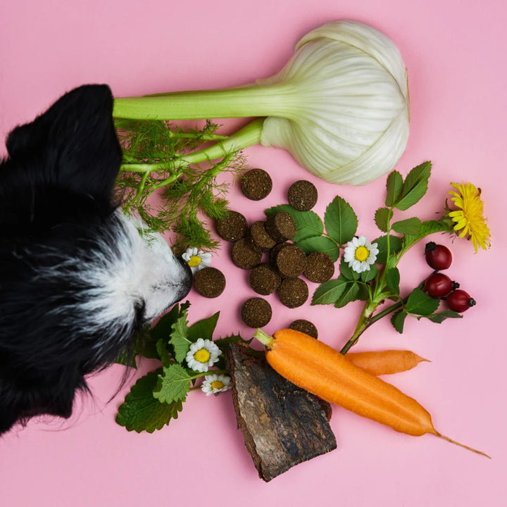 Gras- & Kotfresser Drops 350g