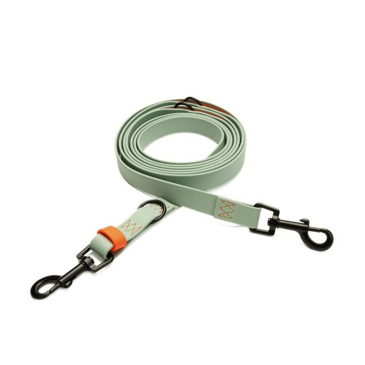 Hundeleine BioThane Ipanema - Mint-Neon Orange