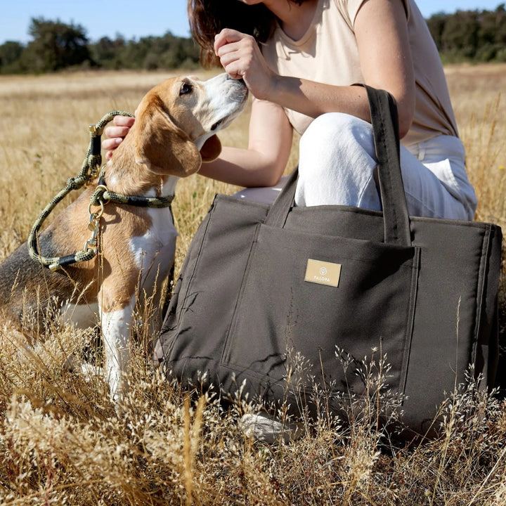 Hundemattentasche - Nobo in Anthrazit