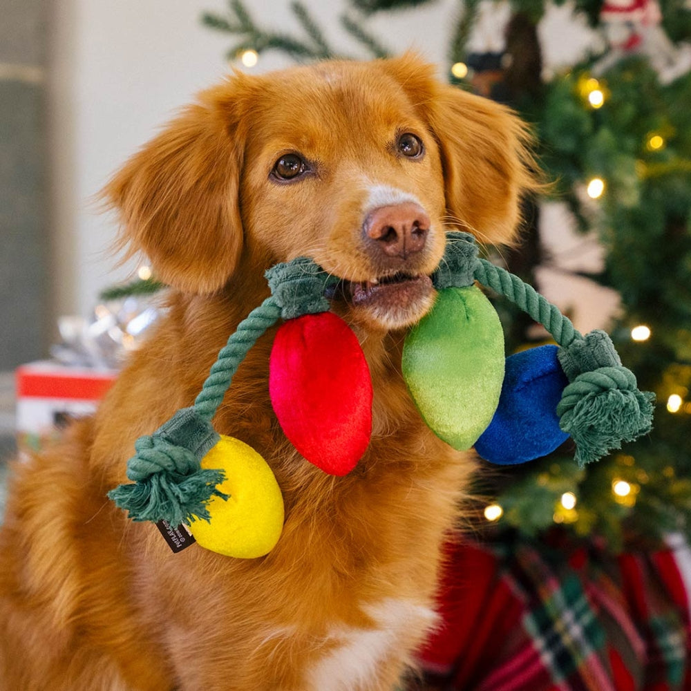 Hundespielzeug Weihnachtslichterkette