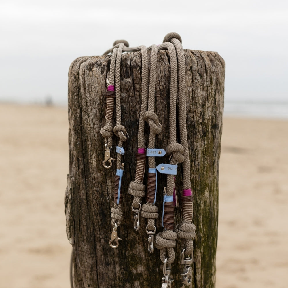 Tauleine Driftwood