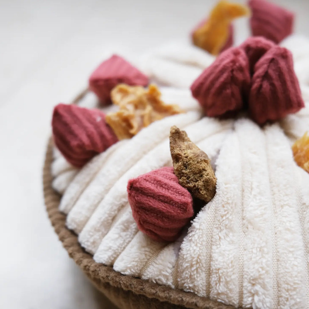 Hundespielzeug Berry Pie