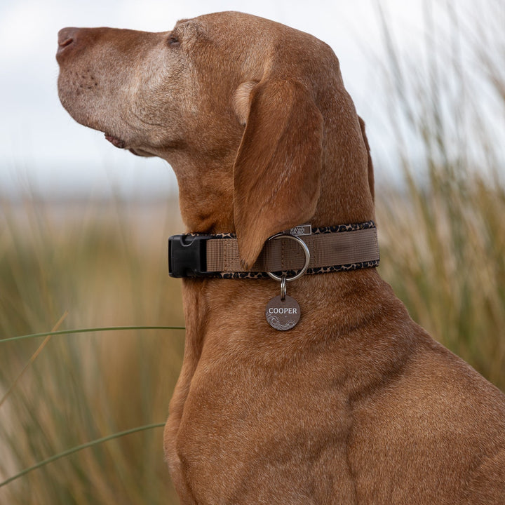 Hundehalsband &amp; Leine Leo Love Marrakesh