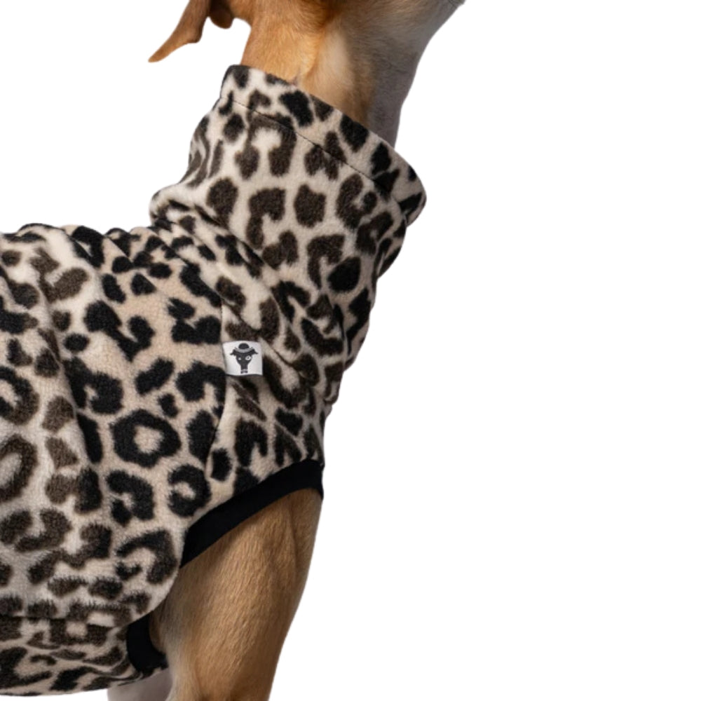 LONG SHIRT 2.0 für Whippet, Windsprite, Podenco, Galgo in Leo