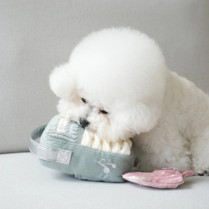 Hundespielzeug FM-Radio