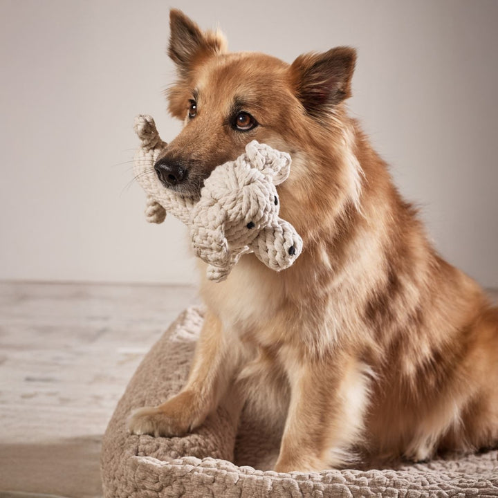 Hundespielzeug Richie Retriever