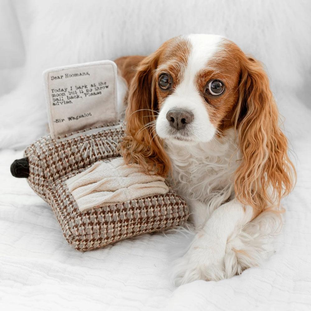 Hundespielzeug Schreibmaschine