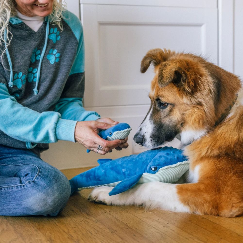 Hundespielzeug Ozeanfreunde Walfamilie Big Blue &amp; Baby Blue