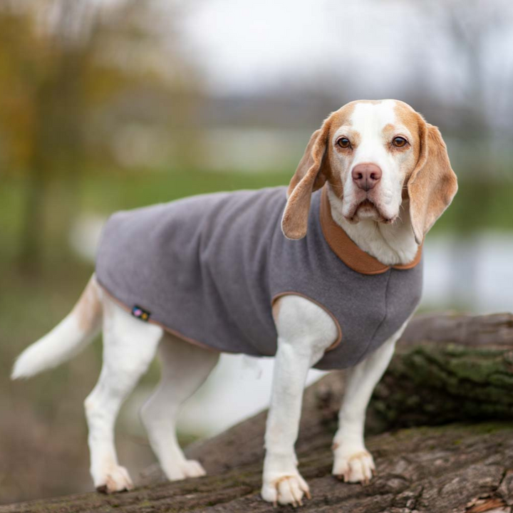 Kuschelweicher Fleece-Pullover Grau/Braun Jetzt erhältlich bei  Dogsmopolitan