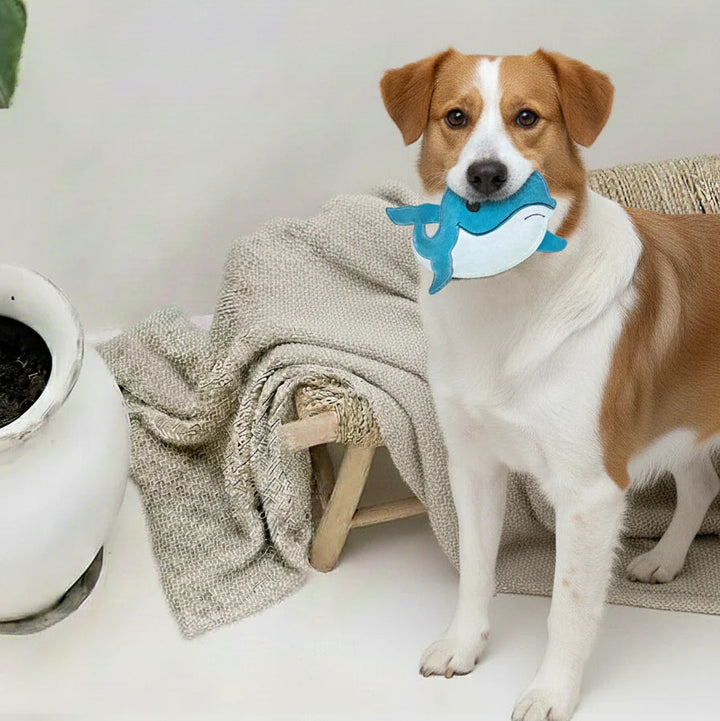 Hundespielzeug Wal Waltraud