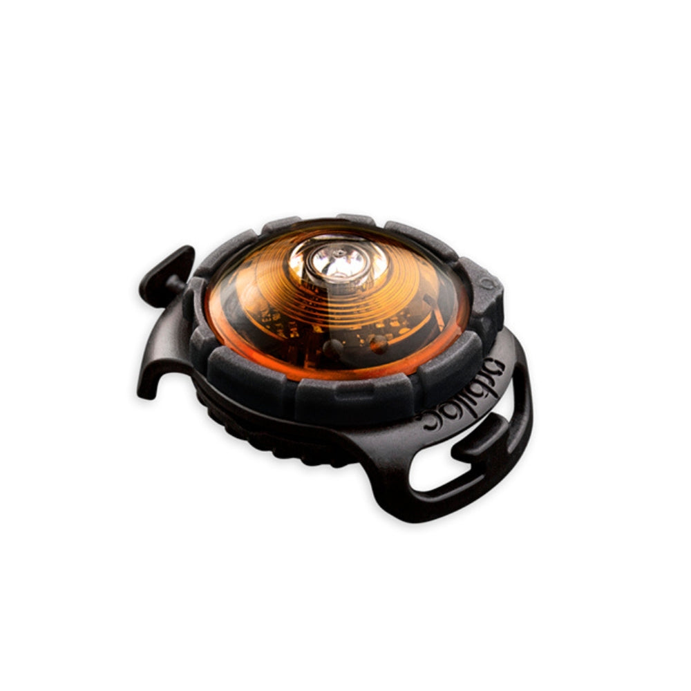 Veiligheidslamp - De veiligheidslamp voor honden en baasjes