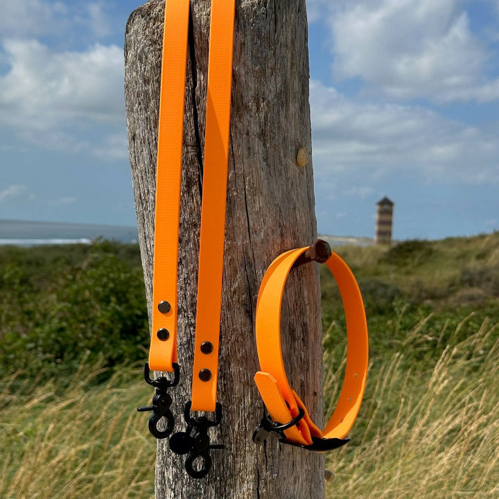 BETA-BIOTHANE® Halsband und Leine Bright Orange