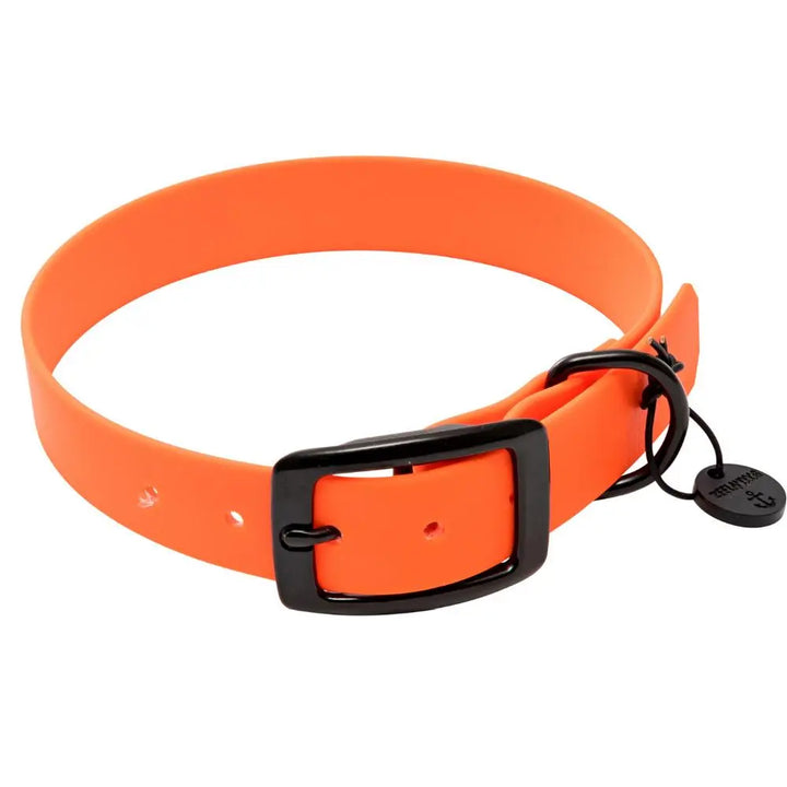 BETA-BIOTHANE® Halsband und Leine Nemo