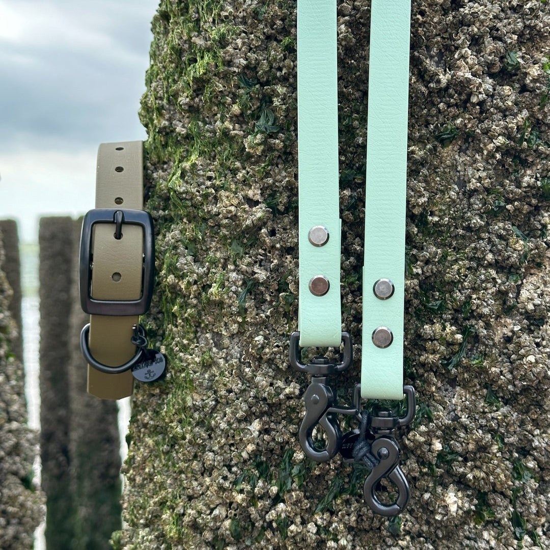 BETA-BIOTHANE® Halsband und Leine Sea Green