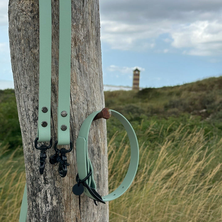 BETA-BIOTHANE® Halsband und Leine Sea Green