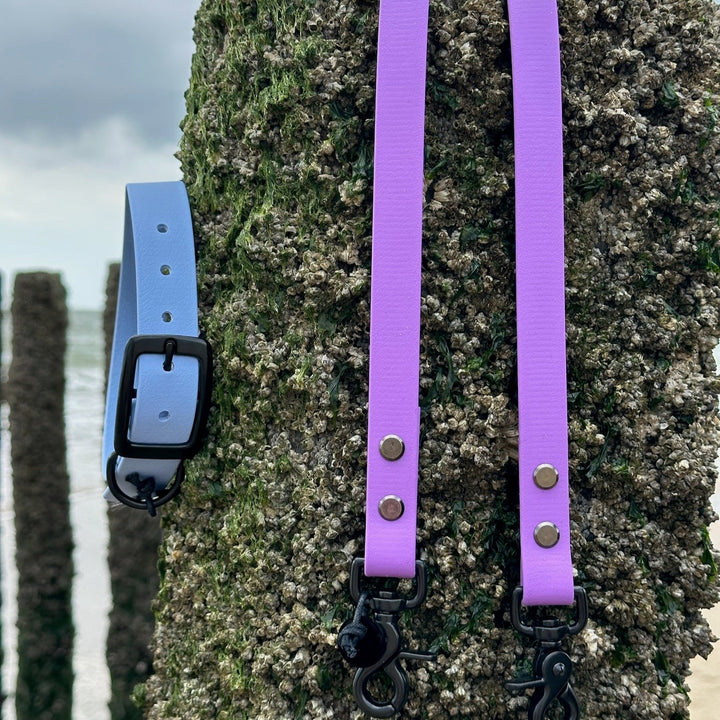 BETA-BIOTHANE® Halsband und Leine Lilac