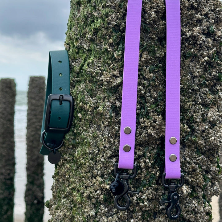 BETA-BIOTHANE® Halsband und Leine Lilac