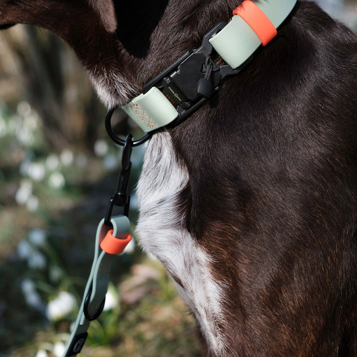 Hundehalsband BioThane Ipanema - Mint-Neon Orange