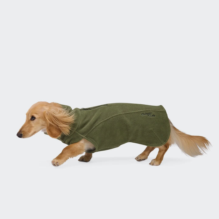 Dog sweater for dachshund Gotland Tartan