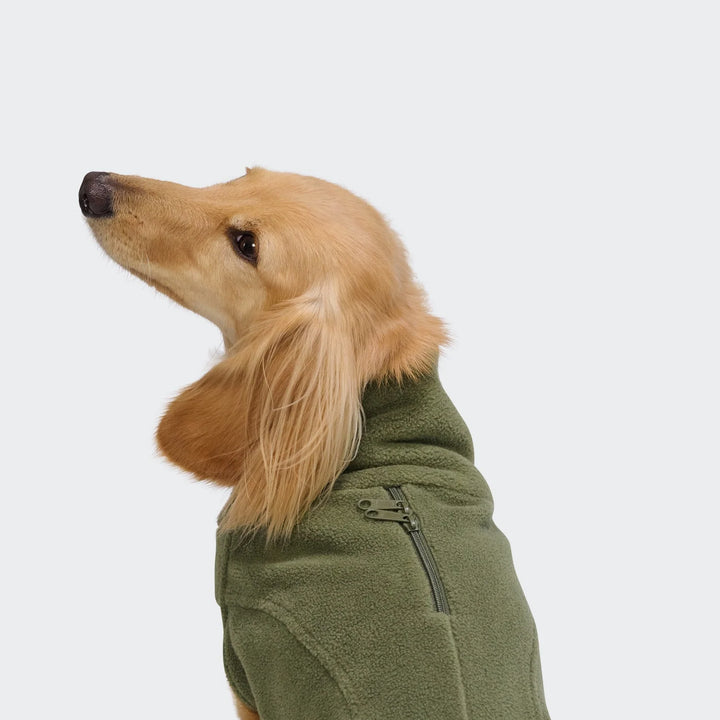 Dog sweater for dachshund Gotland Tartan