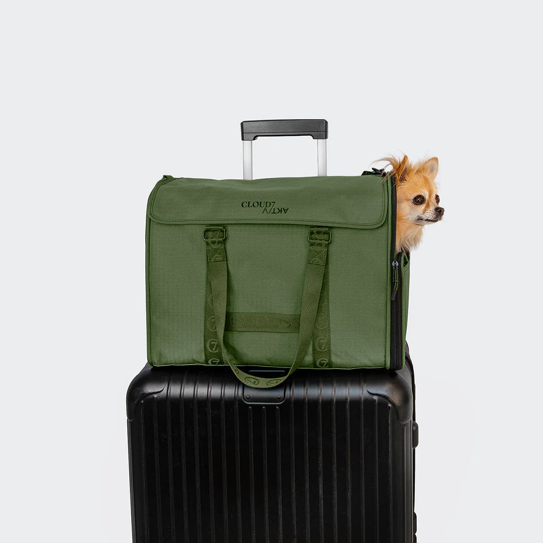 Hundeflugtasche AKTIV Olive