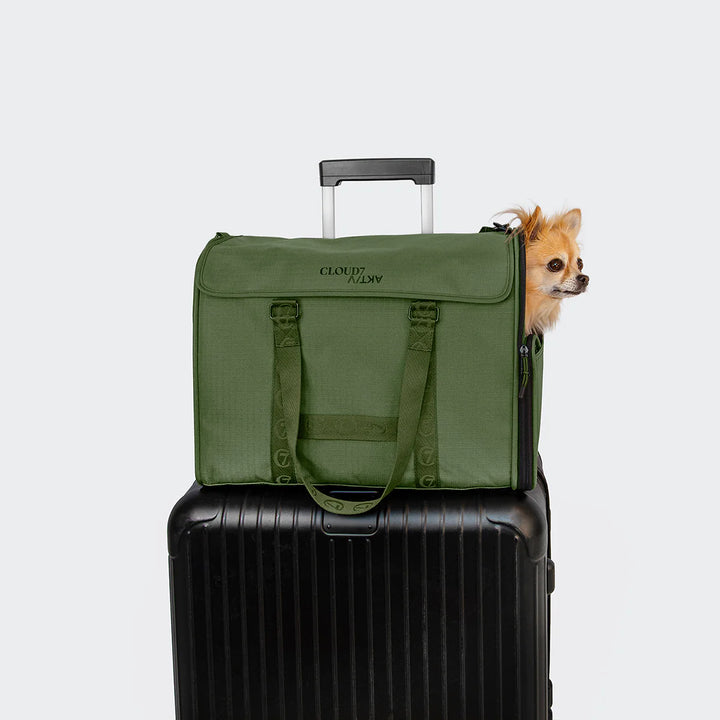 Hundeflugtasche AKTIV Olive