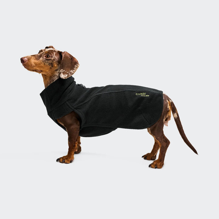 Dog sweater for dachshund Gotland Tartan