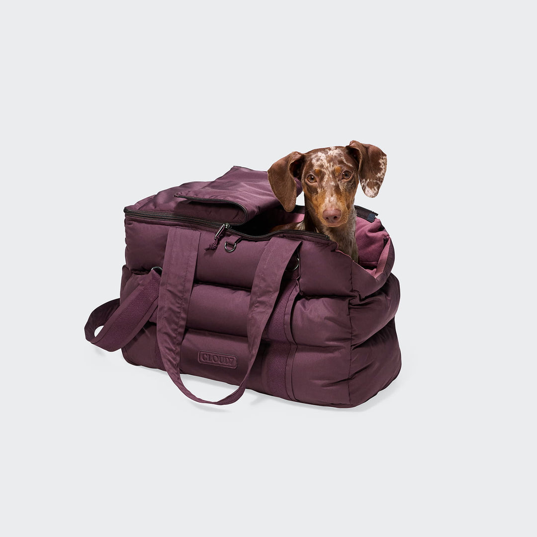 Hundetasche Montreal 2.0 Dark Aubergine M