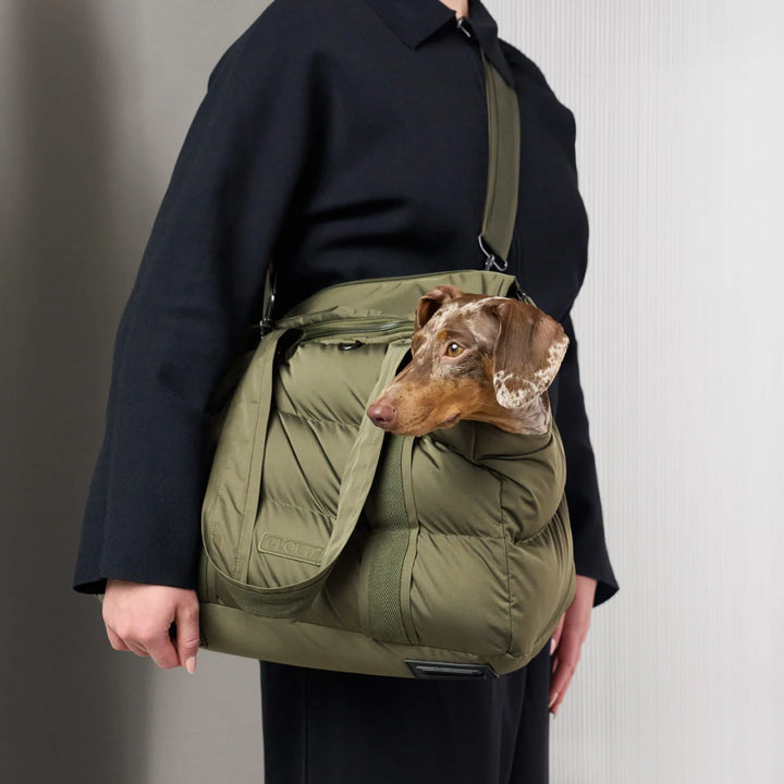 Montreal 2.0 Dog Carrier Light Olive