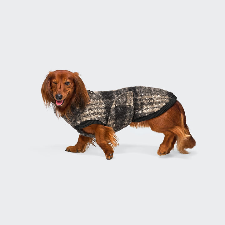 Hundepullover für Dackel Gotland Tartan
