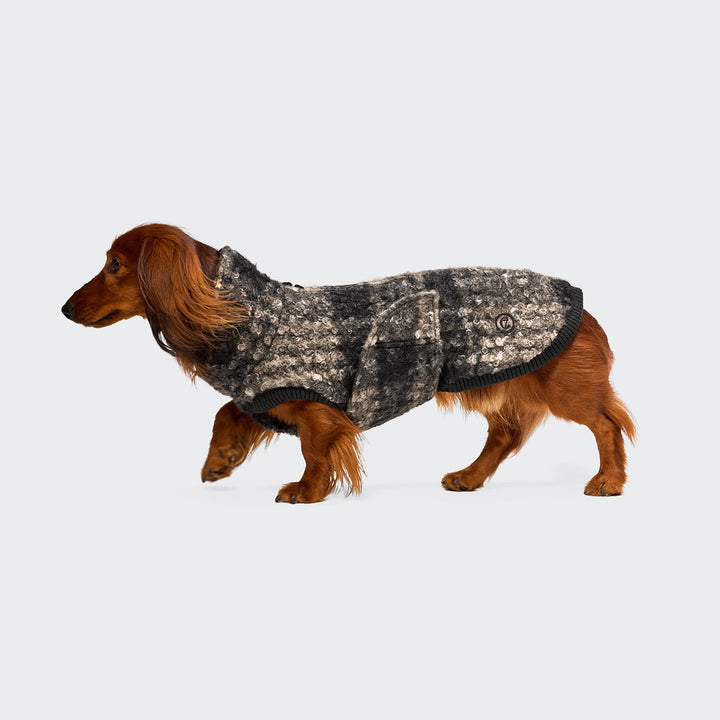 Hundepullover für Dackel Gotland Tartan