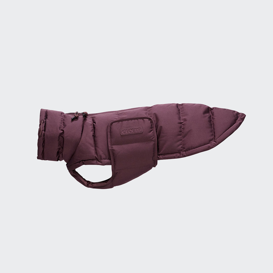 Hundemantel für Dackel Alaska Dark Aubergine