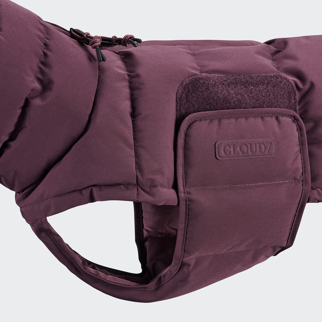 Hundemantel für Dackel Alaska Dark Aubergine