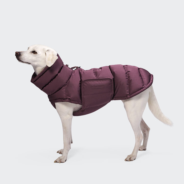 Hundemantel Alaska Dark Aubergine