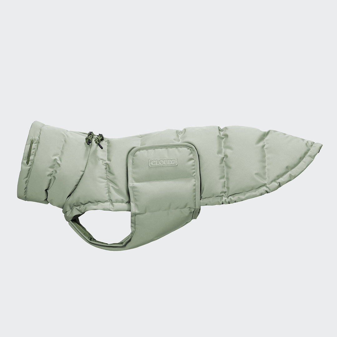 Hundemantel für Dackel Alaska Dusty Mint