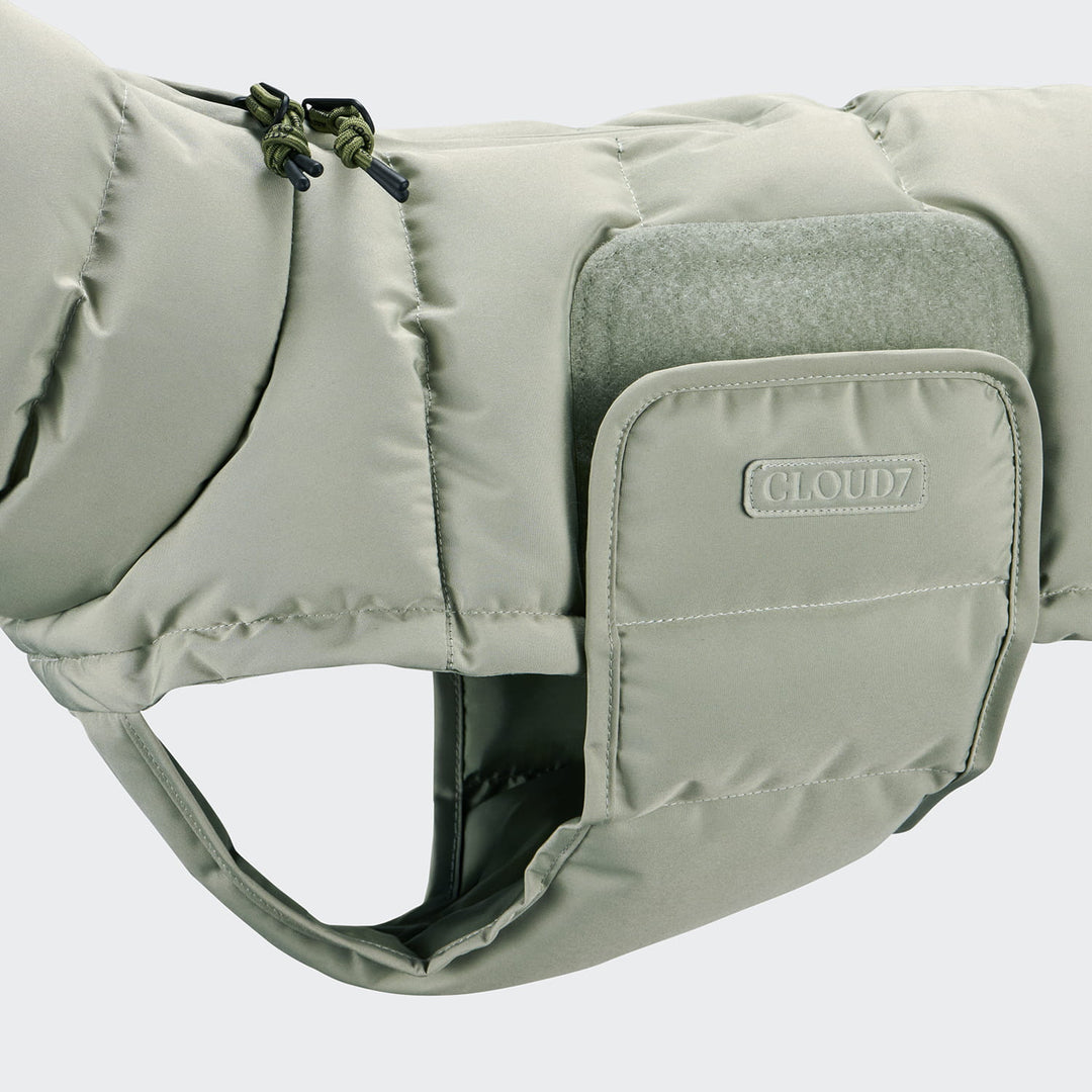 Hundemantel für Dackel Alaska Dusty Mint