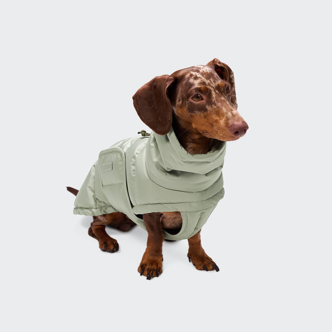 Hundemantel für Dackel Alaska Dusty Mint
