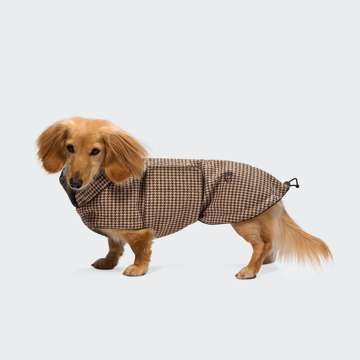 Hundemantel Brooklyn Dackel Houndstooth
