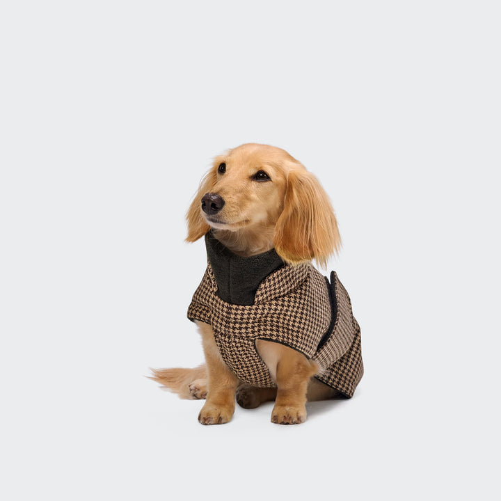 Hundemantel Brooklyn Dackel Houndstooth