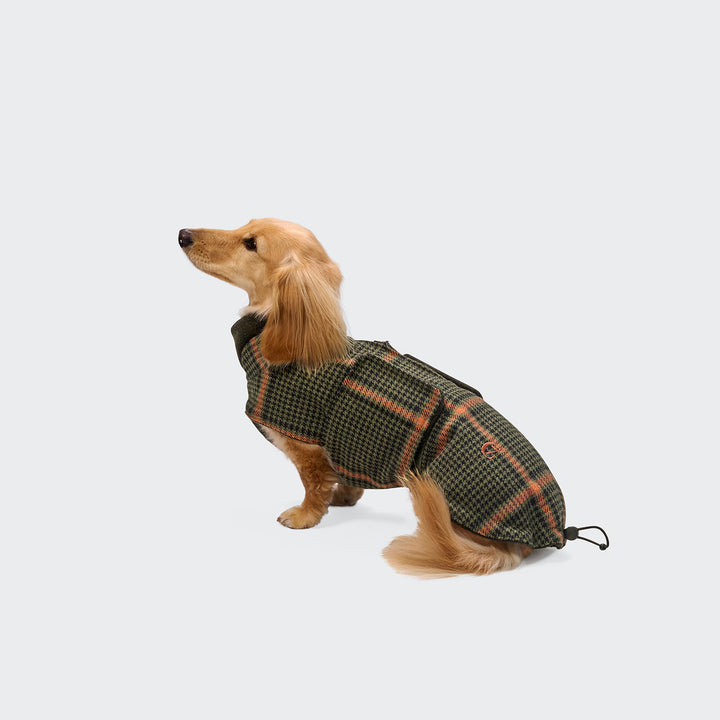 Hundemantel Brooklyn Dackel Tartan green