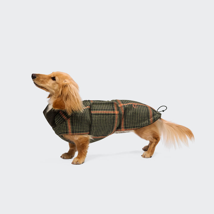 Hundemantel Brooklyn Dackel Tartan green