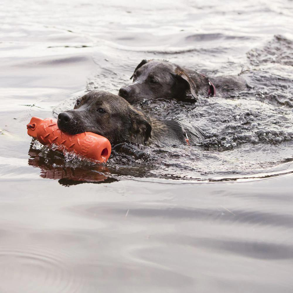 KONG Trainings Dummy Jetzt erhältlich bei  Dogsmopolitan