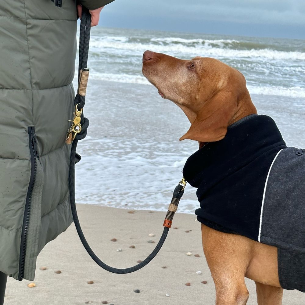 ZEELAND DOG Carbon Jetzt erhältlich bei  Dogsmopolitan