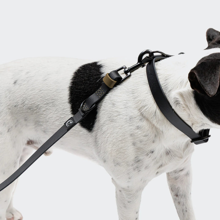 Hundehalsband BioThane Ipanema - Black-Olive